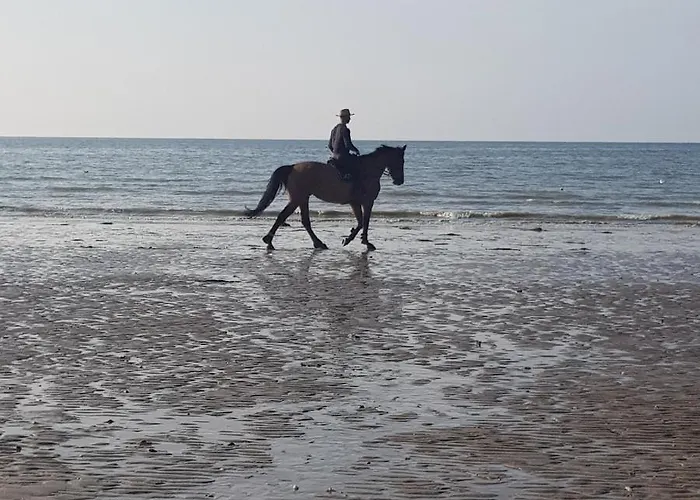 Apartmán Les Equestre De Ninon