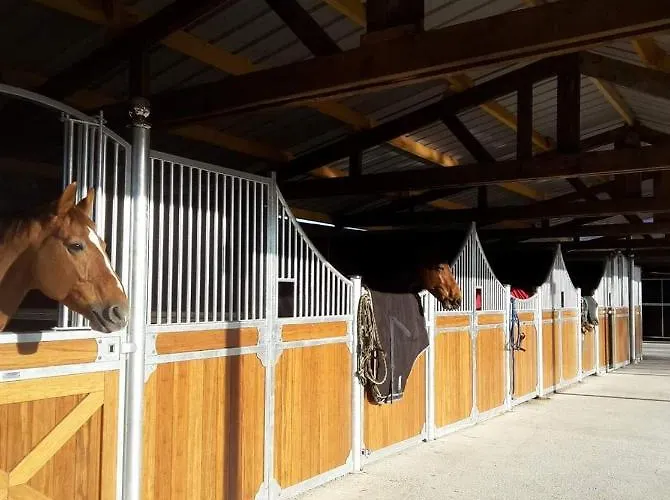 Les Equestre De Ninon * Moult